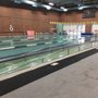 Photo of Bachman Indoor Pool