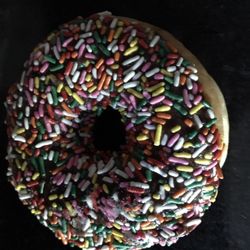 Gourmet Donuts - Chocolate Frosted Yeast