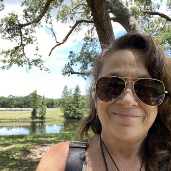 Cliff Stephens Park - Disc Golf Near Me - Clearwater, Florida