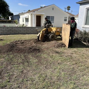 Paez Tree Service - You want this big boy grinder! - Tree Services Near Me - Anaheim, California Paez Tree Service - You want this big boy grinder! - Tree Services Near Me - Anaheim, California