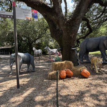 Houston Zoo - Zoos Near Me - Houston, Texas Houston Zoo - Zoos Near Me - Houston, Texas
