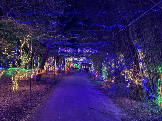 Bellingrath Gardens & Home by null