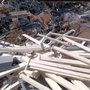Photo of Anas Strap Metal Removal Service