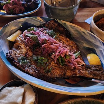 Maydan - Bronzino - Moroccan Near Me - Washington, DC, District of Columbia Maydan - Bronzino - Moroccan Near Me - Washington, DC, District of Columbia
