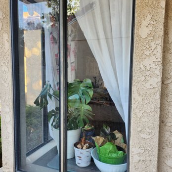 Loyal Exterior Cleaning - Joy and happiness seeing my plants through squeaky clean windows done by Luis and Crew. - Window Washing Near Me - Brea, California