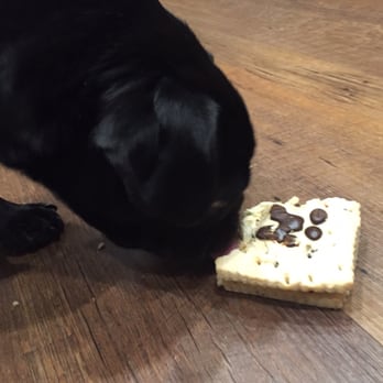 Drooly's Dog Bakery - He can't get enough of this ice cream sandwich. - Pet Stores Near Me - Bentonville, Arkansas Drooly's Dog Bakery - He can't get enough of this ice cream sandwich. - Pet Stores Near Me - Bentonville, Arkansas