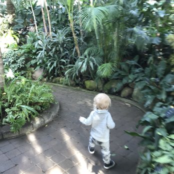 Muttart Conservatory - Landmarks & Historical Buildings Near Me - Edmonton, Alberta Muttart Conservatory - Landmarks & Historical Buildings Near Me - Edmonton, Alberta