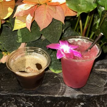 Tambu Lounge - Lounges Near Me - Lake Buena Vista, Florida Tambu Lounge - Lounges Near Me - Lake Buena Vista, Florida