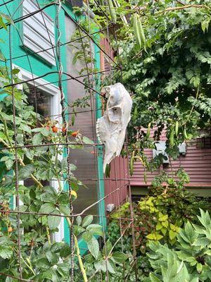 Two Fish Gallery by null