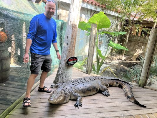 St. Augustine Alligator Farm Zoological Park by null