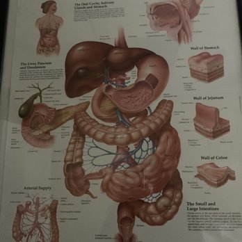 Advance Detox Center - The Digestive System - Naturopathic/Holistic Near Me - Rancho Cucamonga, California