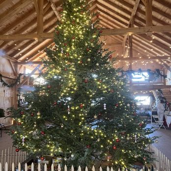Jarrettsville Nursery - The 16' tree! - Home & Garden Near Me - Street, Maryland Jarrettsville Nursery - The 16' tree! - Home & Garden Near Me - Street, Maryland
