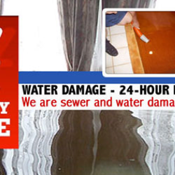 Shawn's Custom Carpet & Upholstery Care