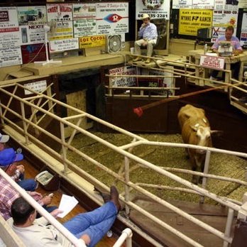 Okeechobee Livestock Market Restaurant - American Near Me - Okeechobee, Florida