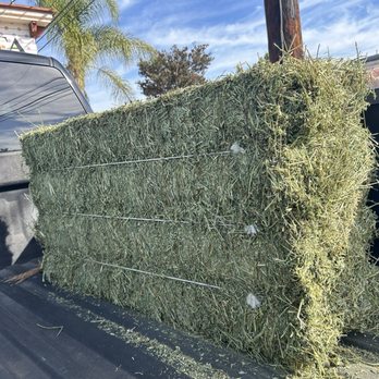 Lomita Feed Store - A beautiful bale of alfalfa diamond - Pet Stores Near Me - Lomita, California