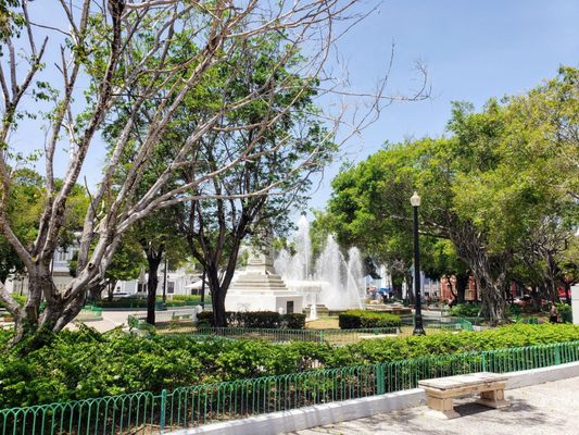 Plaza Luis Muñoz Rivera by null