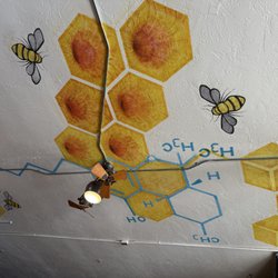 Humboldt Honey Dispensary - Ceiling painting