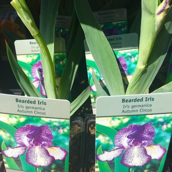 Meinke Garden Center - Nurseries & Gardening Near Me - Niles, Illinois