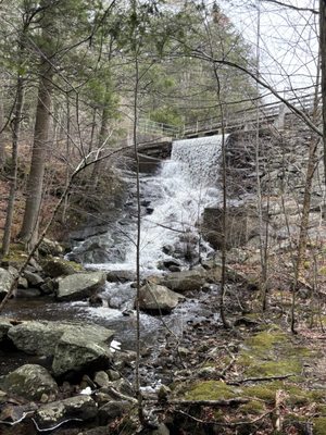 Pachaug State Forest by null