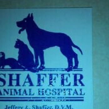 Shaffer Animal Hospital - Veterinarians Near Me - Oviedo, Florida Shaffer Animal Hospital - Veterinarians Near Me - Oviedo, Florida