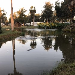 Ocala RV-Camp Resort