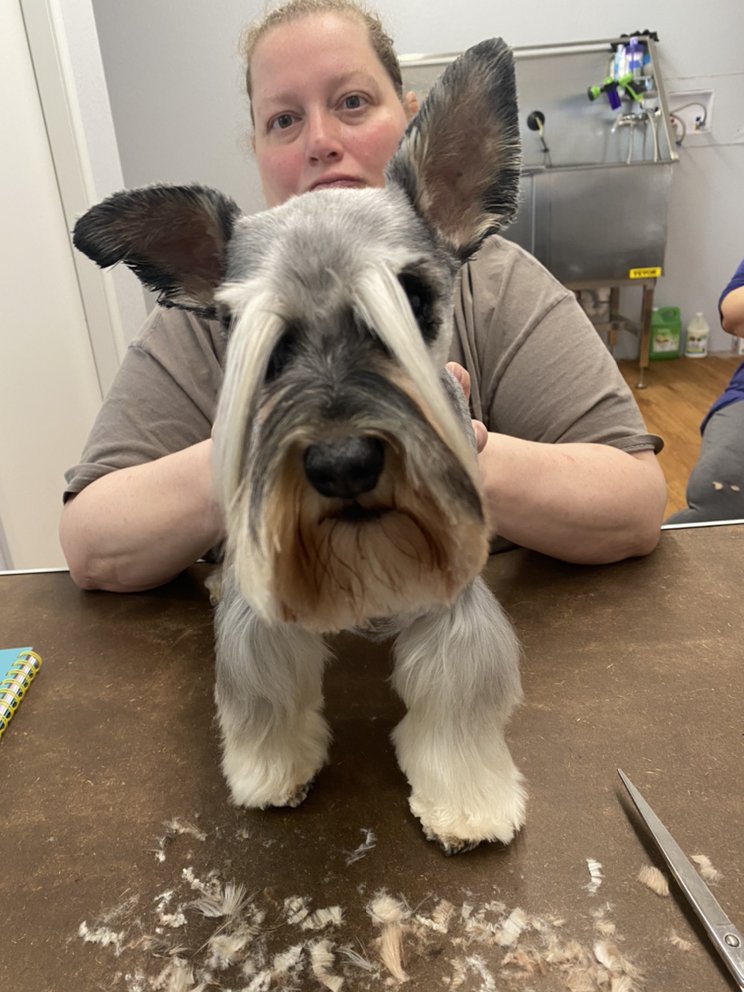 THE DAWG HOUSE GROOMING Updated September 2024 11 Photos 6226 SE