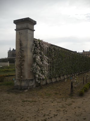 Potager du Roi by null