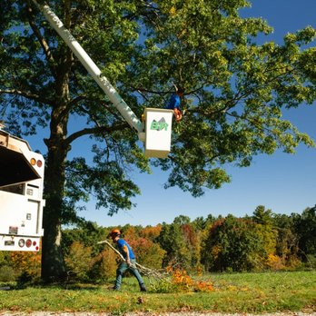 B&R Tree Service - Tree Services Near Me - Charlton, Massachusetts