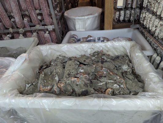 Public Smokehouse by null