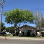 Photo of Central Valley Tree Service