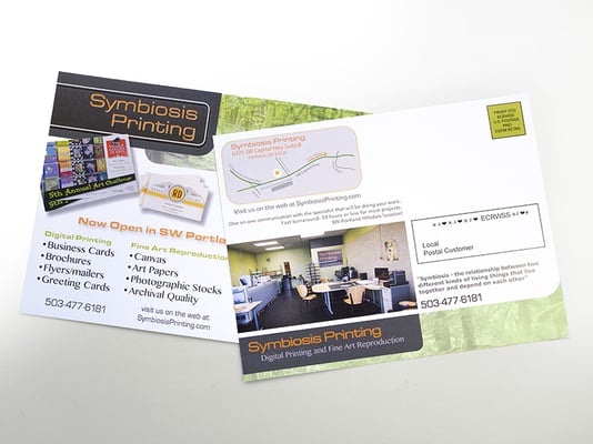 Symbiosis Printing by null