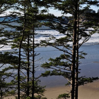 Oswald West State Park - Cape Falcon hike - Parks Near Me - Manzanita, Oregon Oswald West State Park - Cape Falcon hike - Parks Near Me - Manzanita, Oregon