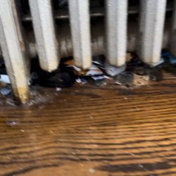 Platinum Cleaning Service