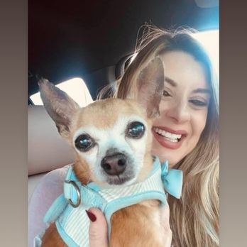 Sylvan Veterinary hospital - Pitoco , the 4 pounds boy that thought he was a Pitbull , left last year , lived a beautiful life for almost 19 years - Veterinarians Near Me - Modesto, California Sylvan Veterinary hospital - Pitoco , the 4 pounds boy that thought he was a Pitbull , left last year , lived a beautiful life for almost 19 years - Veterinarians Near Me - Modesto, California