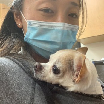 Sunny Side Mobile Veterinary - Dr. Miyata keeping Poppy warm - Veterinarians Near Me Sunny Side Mobile Veterinary - Dr. Miyata keeping Poppy warm - Veterinarians Near Me