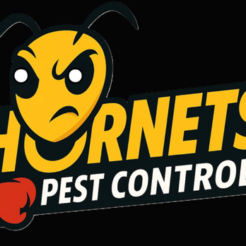 Hornets Pest Control - Pest Control Near Me - Mesa, Arizona Hornets Pest Control - Pest Control Near Me - Mesa, Arizona