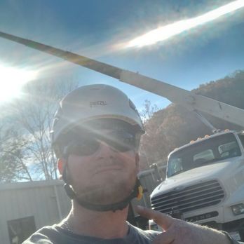 Top Line Tree Service - Tree Services Near Me