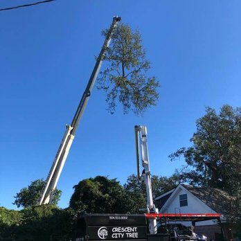 Crescent City Tree - No job to big! - Tree Services Near Me - Kenner, Louisiana