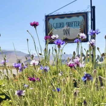 Gilded Drifter Inn - Hotels Near Me - Loyalton, California