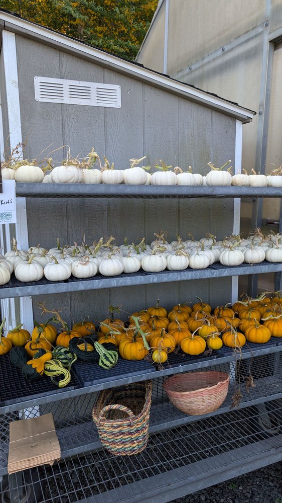 Halfinger Farms - beekeeping in Higganum, CT