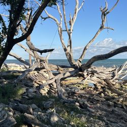 Boca Chica Beach Area - Red's