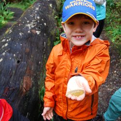 Redwood  Adventures - We like to get as hands on as possible during our adventures!