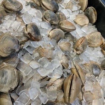 H Mart - Katy - Huge live clams - Grocery Near Me - Katy, Texas