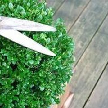 Eager Beaver Tree Service - Tree Services Near Me Eager Beaver Tree Service - Tree Services Near Me