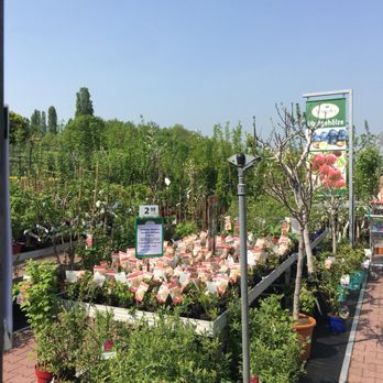 Gärtnerei Schlößer - Garden center - Gardeners Near Me - Moers, NW Gärtnerei Schlößer - Garden center - Gardeners Near Me - Moers, NW
