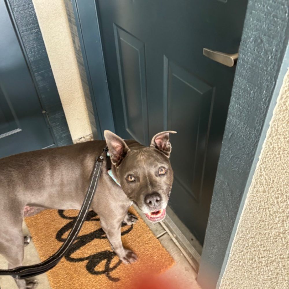 Someone is super happy! Someone is super happy!