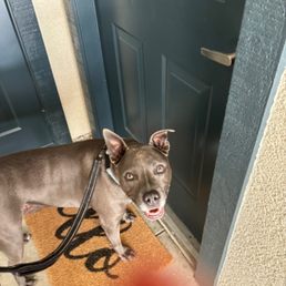 Someone is super happy! Someone is super happy!