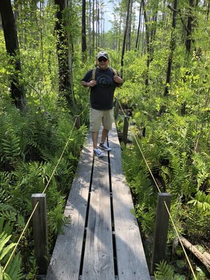 Okefenokee Swamp Park by null