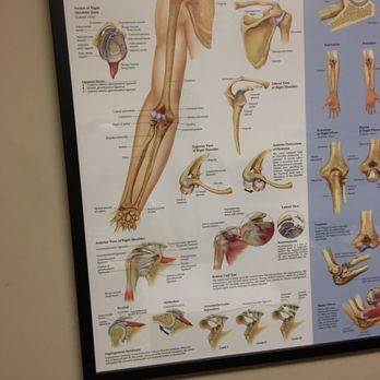 Summit Orthopedic Specialists - Orthopedists Near Me - Carmichael, California Summit Orthopedic Specialists - Orthopedists Near Me - Carmichael, California