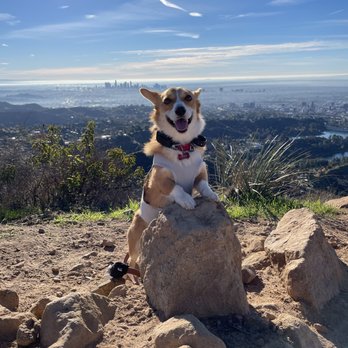Cahuenga Peak - Hiking Near Me - Los Angeles, California